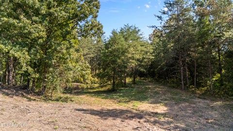 Tiny photo for 6222 Thomas Weaver Rd, Knoxville, TN 37938 (MLS # 1356226)