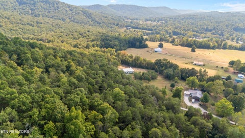 Tiny photo for 6222 Thomas Weaver Rd, Knoxville, TN 37938 (MLS # 1356226)