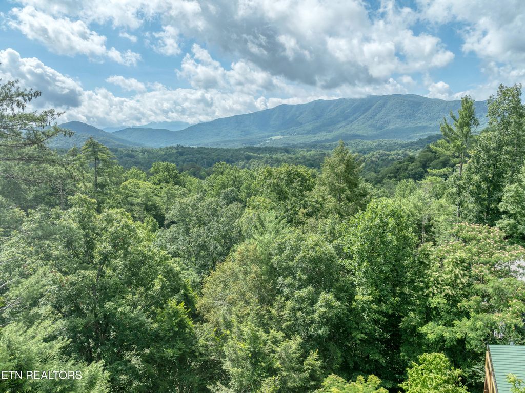 Photo of 132 Cutter Gap Rd, Townsend, TN 37882 (MLS # 1306961)