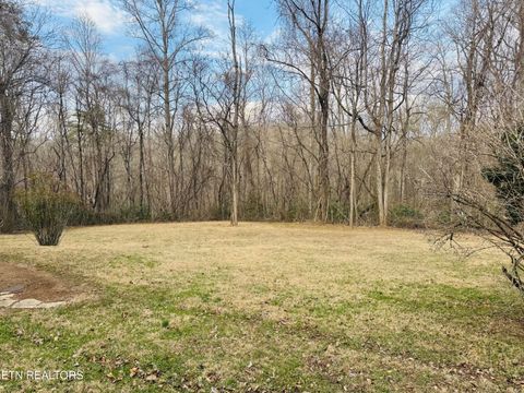 Tiny photo for 106 Echo Valley Rd, Rocky Top, TN 37769 (MLS # 1330338)