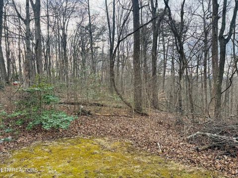 Tiny photo for 106 Echo Valley Rd, Rocky Top, TN 37769 (MLS # 1330338)