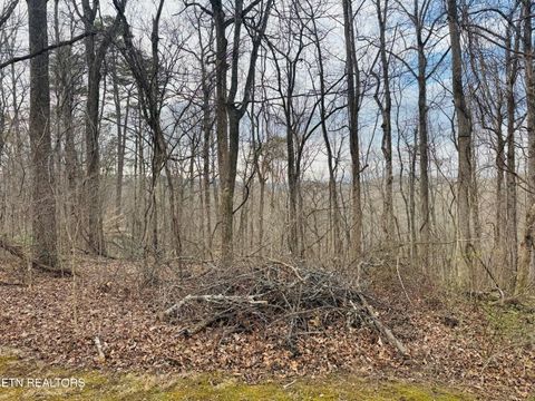 Tiny photo for 106 Echo Valley Rd, Rocky Top, TN 37769 (MLS # 1330338)