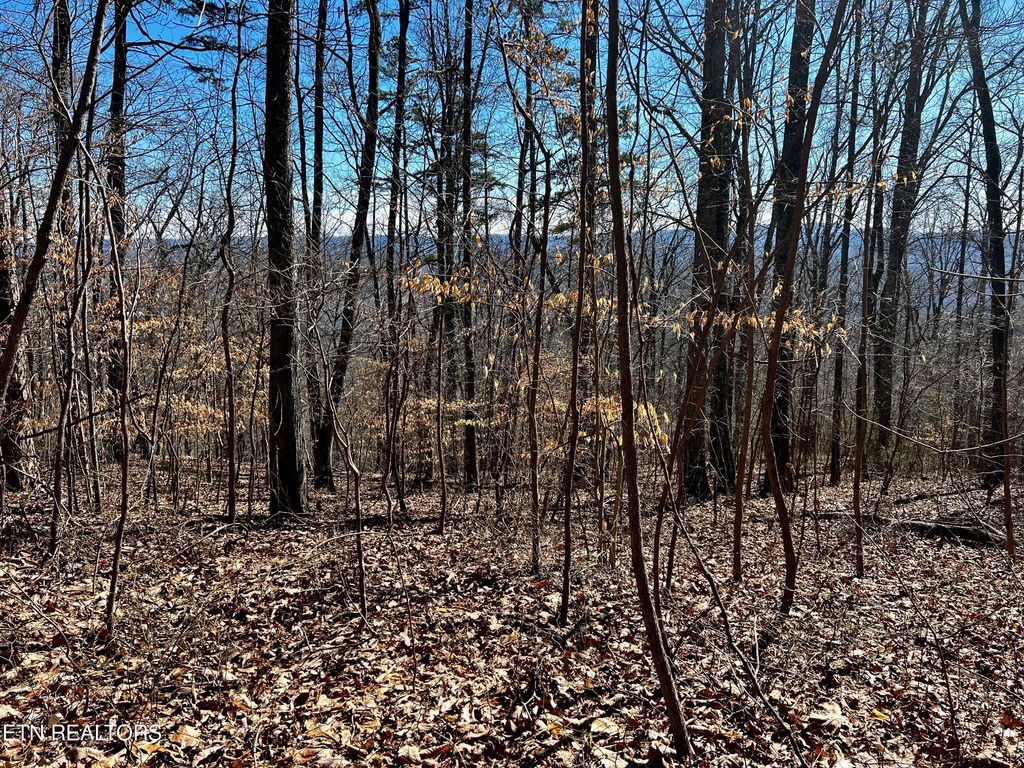 Photo of 426 Chimney Rock Rd, New Tazewell, TN 37825 (MLS # 1253145)