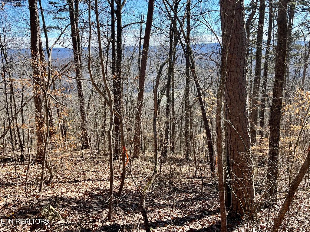 Photo of 426 Chimney Rock Rd, New Tazewell, TN 37825 (MLS # 1253145)