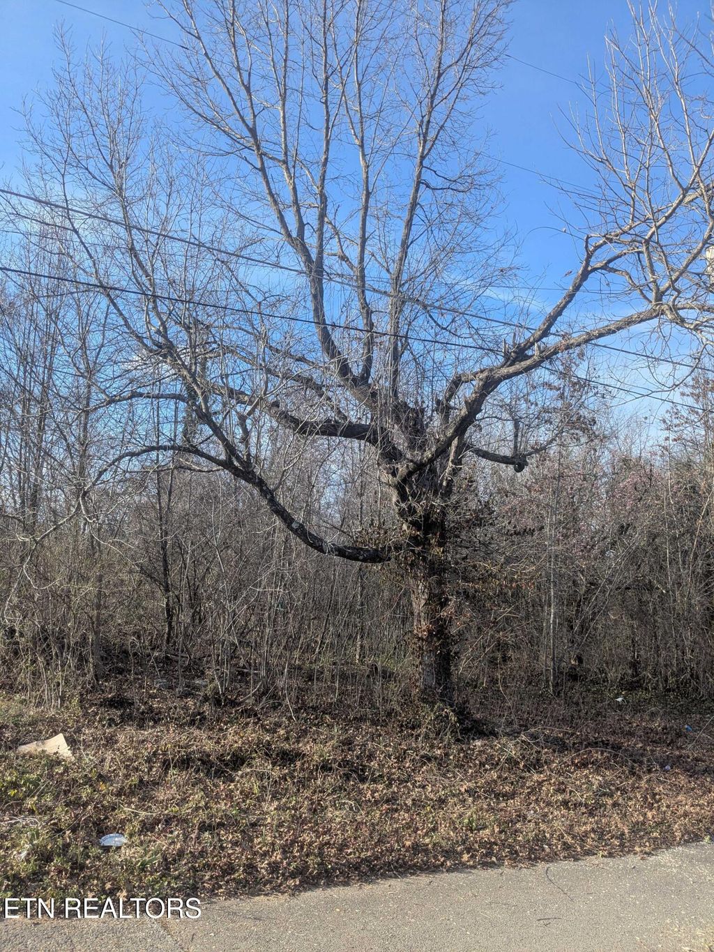 Photo of 1425 Lewis Ave, Knoxville, TN 37920 (MLS # 1331441)