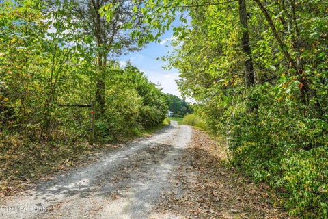 Tiny photo for 7033 Calvary Way, Corryton, TN 37721 (MLS # 1355396)