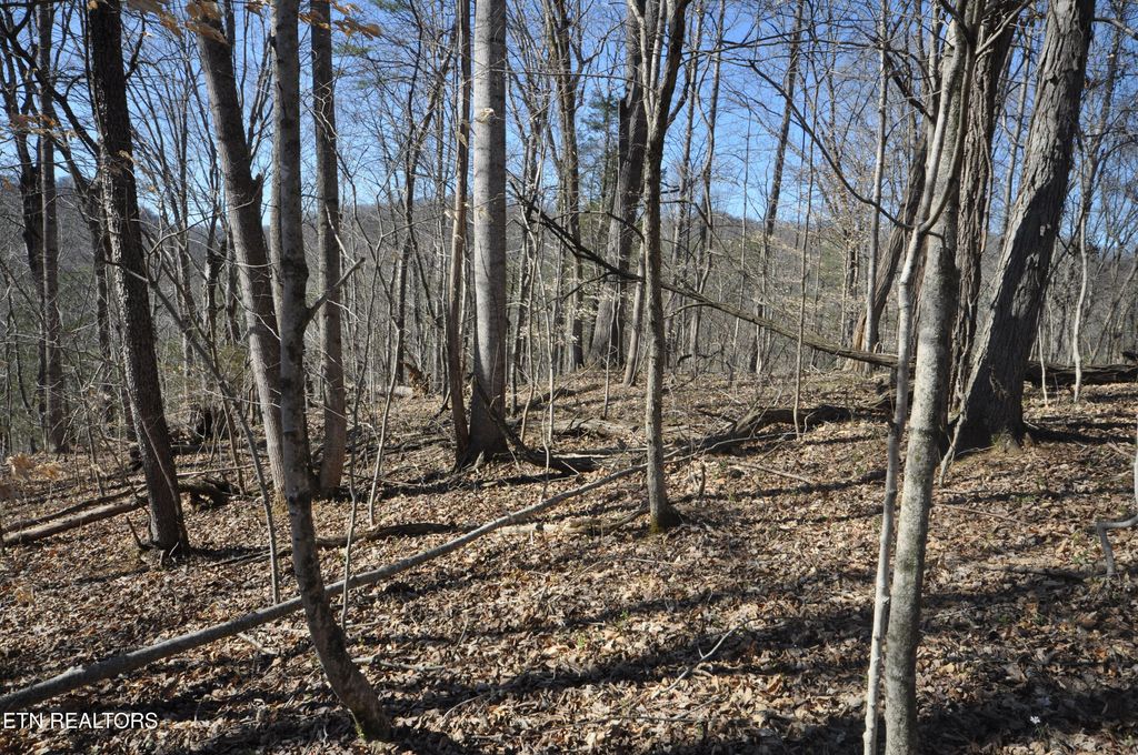 Photo of 00 Old Tazewell Pike, Luttrell, TN 37779 (MLS # 1294519)