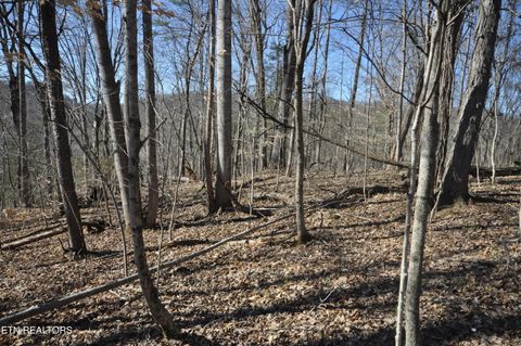 00 Old Tazewell Pike Luttrell TN 37779