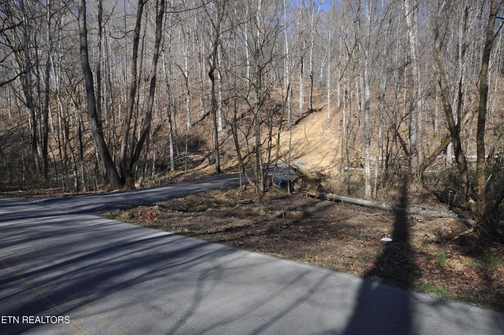 Photo of 00 Old Tazewell Pike, Luttrell, TN 37779 (MLS # 1294519)