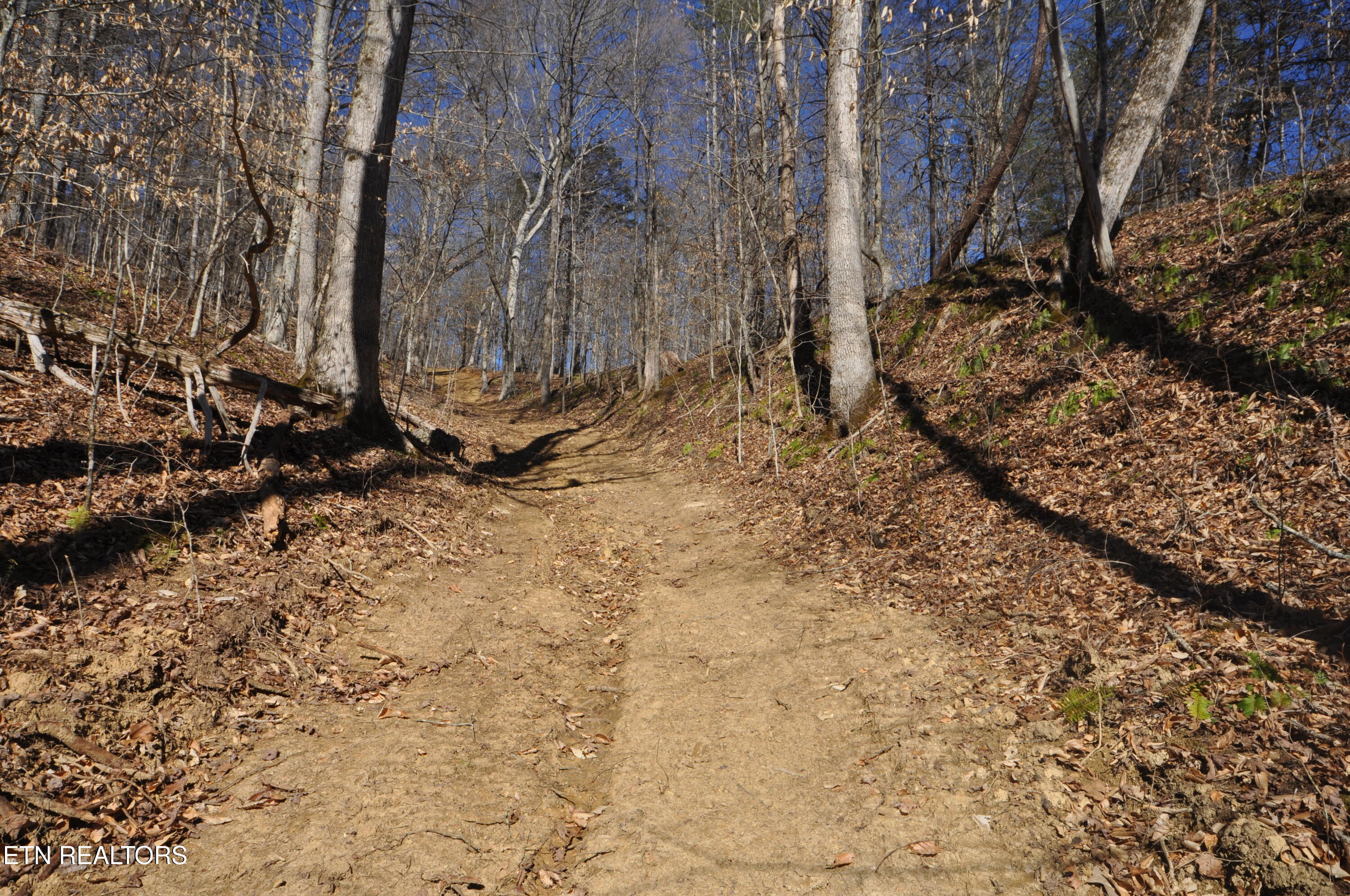 00 Old Tazewell Pike