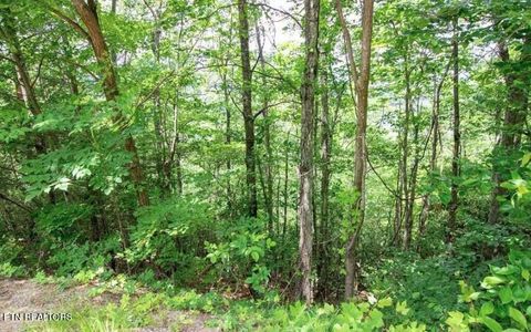 Tiny photo for 4 Enclave Park Way, Gatlinburg, TN 37738 (MLS # 1311303)