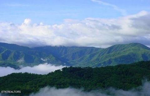 Tiny photo for 4 Enclave Park Way, Gatlinburg, TN 37738 (MLS # 1311303)