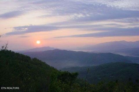 Tiny photo for 4 Enclave Park Way, Gatlinburg, TN 37738 (MLS # 1311303)