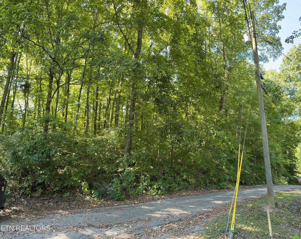Photo of XXX Dogwood Tr, Maynardville, TN 37807 (MLS # 1313513)