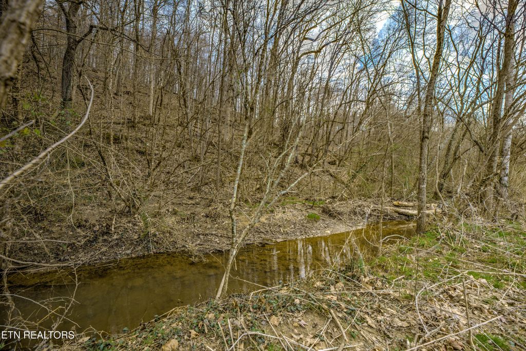 Photo of 3275 W Wolf Valley Rd, Clinton, TN 37716 (MLS # 1287380)