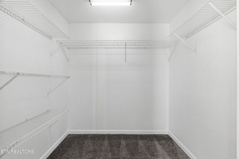 Tiny photo for 1206 W Parkway Ave, Knoxville, TN 37912 (MLS # 1323194)