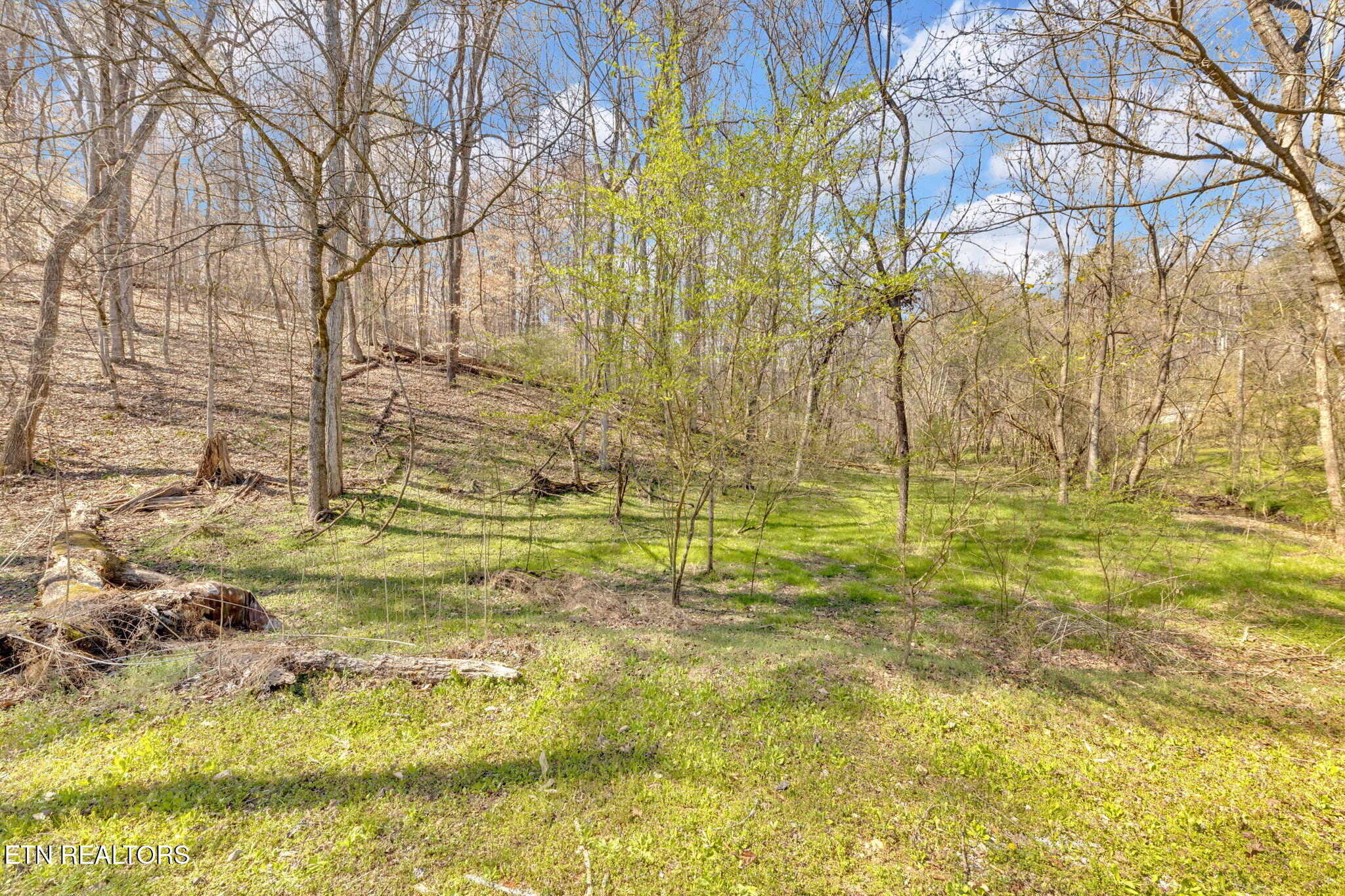 150 Cardwell Chapel Rd