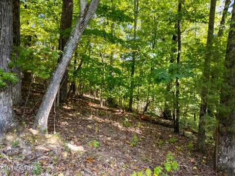 Tiny photo for 2215 Viewcrest Lane, Knoxville, TN 37932 (MLS # 1357999)