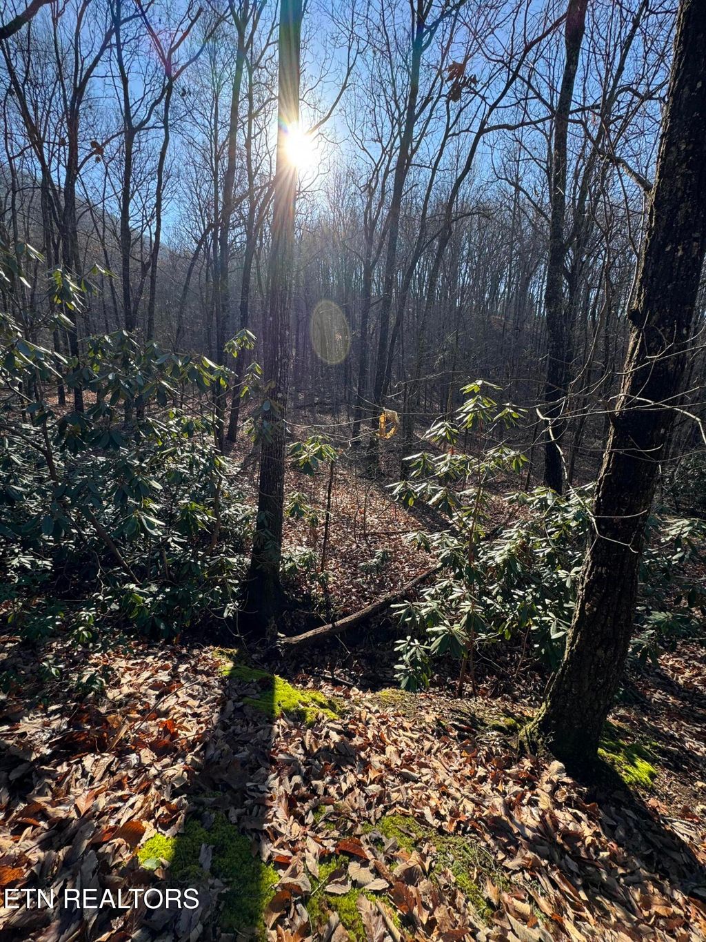 Photo of 3766 Eagle Ridge Rd, Maryville, TN 37803 (MLS # 1323724)