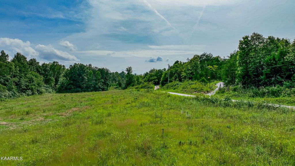 Photo of 125 Shadden Road Rd, Tellico Plains, TN 37385 (MLS # 1235585)