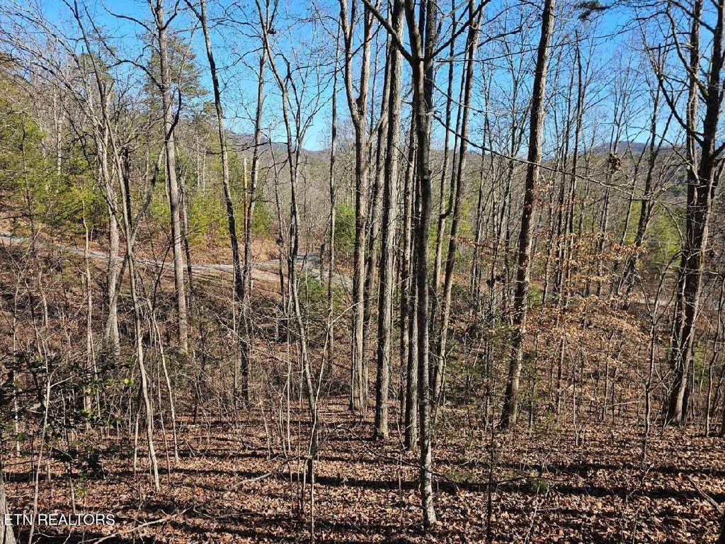 Photo of 0 Red Rooster Way, Sevierville, TN 37876 (MLS # 1314940)