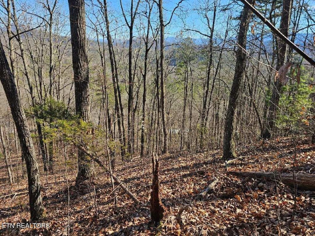 Photo of 0 Red Rooster Way, Sevierville, TN 37876 (MLS # 1314940)