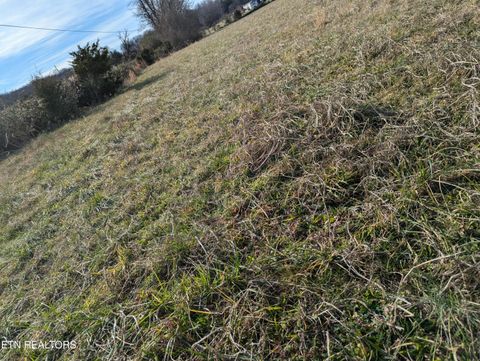Tiny photo for Doc Hill Road, Rutledge, TN 37861 (MLS # 1325656)