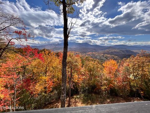 Tiny photo for 775 Cartertown Rd, Gatlinburg, TN 37738 (MLS # 1325552)