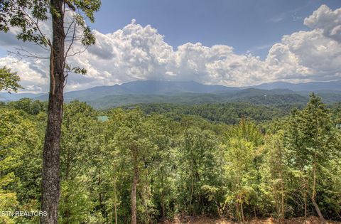 Tiny photo for 775 Cartertown Rd, Gatlinburg, TN 37738 (MLS # 1325552)