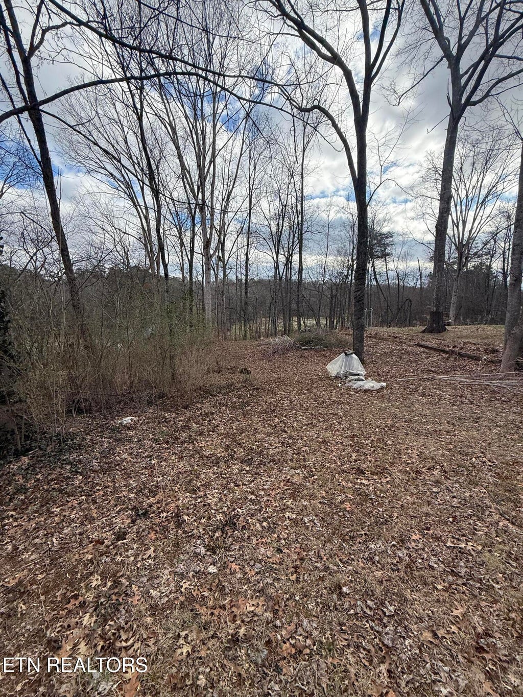 Photo of Melissa Lane, Maryville, TN 37801 (MLS # 1357023)