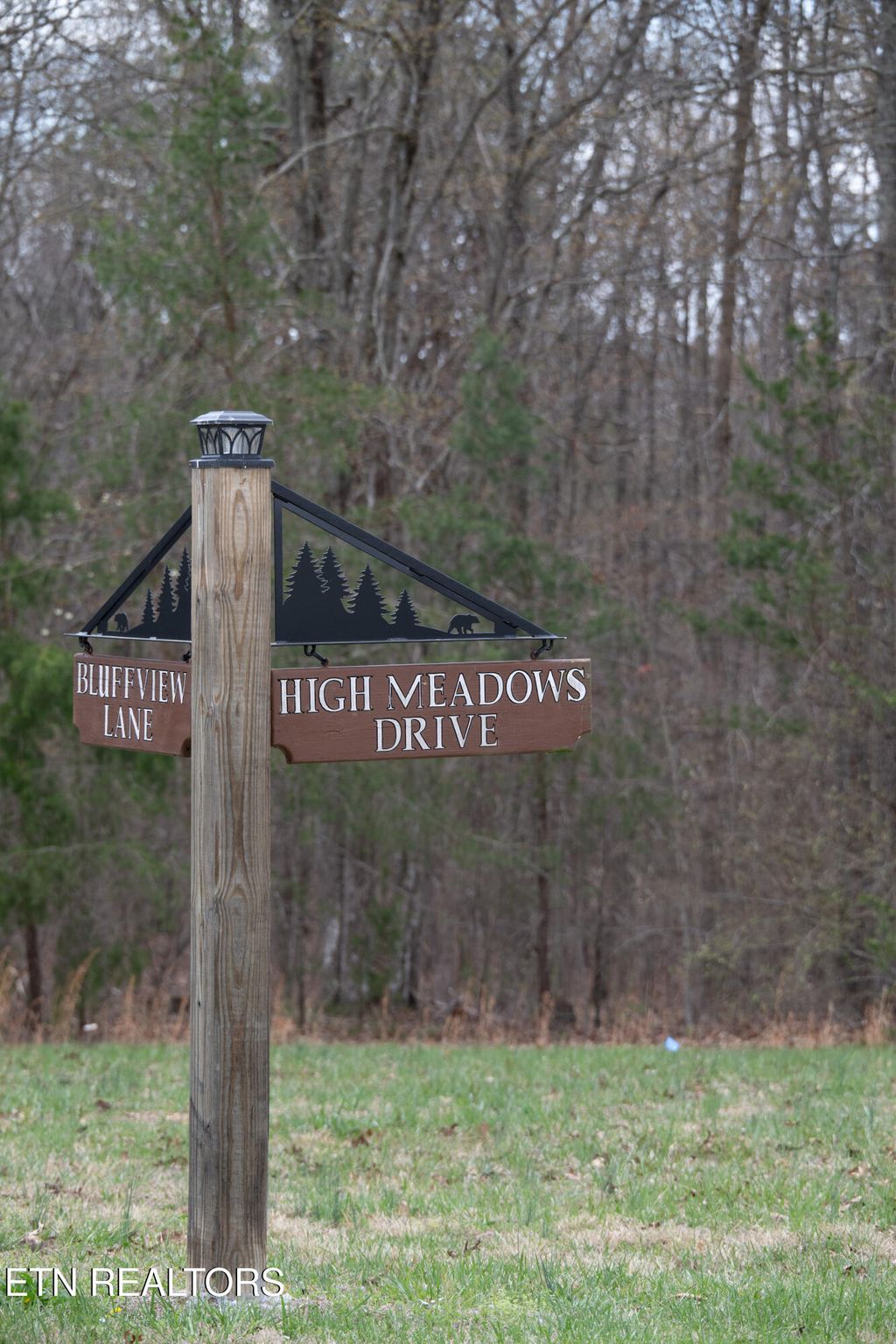 Photo of 0 High Mdw Drive, Spencer, TN 38585 (MLS # 1328489)