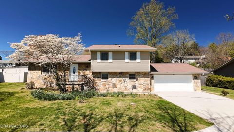 Photo of 11333 Snyder Rd, Knoxville, TN 37932 (MLS # 1335381)