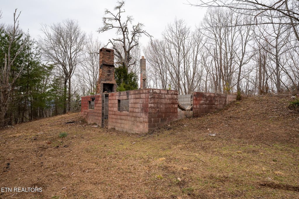 Photo of 290 Mary Brown Lane, Rockwood, TN 37854 (MLS # 1292694)