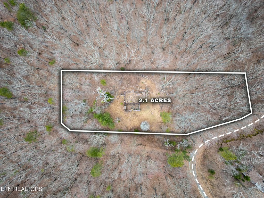 Photo of 290 Mary Brown Lane, Rockwood, TN 37854 (MLS # 1292694)