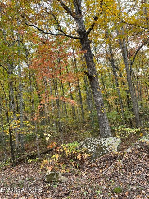 Photo of 244 Acres Old Grimsley Rd, Grimsley, TN 38565 (MLS # 1319869)
