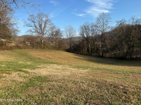 Tiny photo for 206 Ross Cemetery Rd, Rocky Top, TN 37769 (MLS # 1325865)
