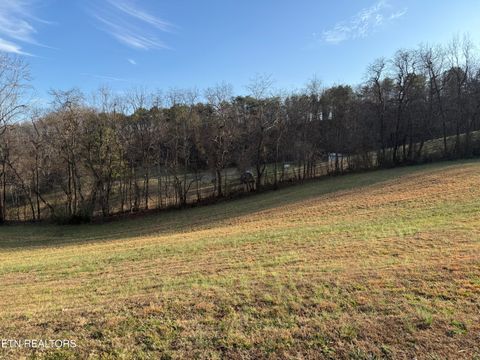 Tiny photo for 206 Ross Cemetery Rd, Rocky Top, TN 37769 (MLS # 1325865)