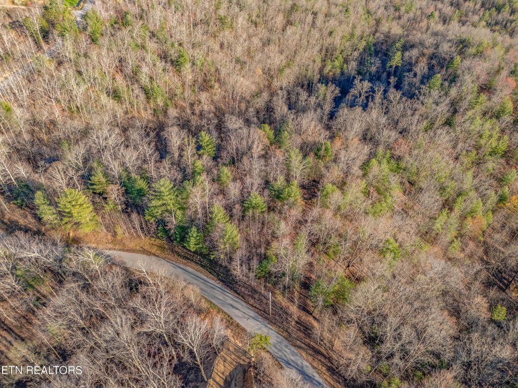 Photo of Balfour Drive, Harriman, TN 37748 (MLS # 1320318)