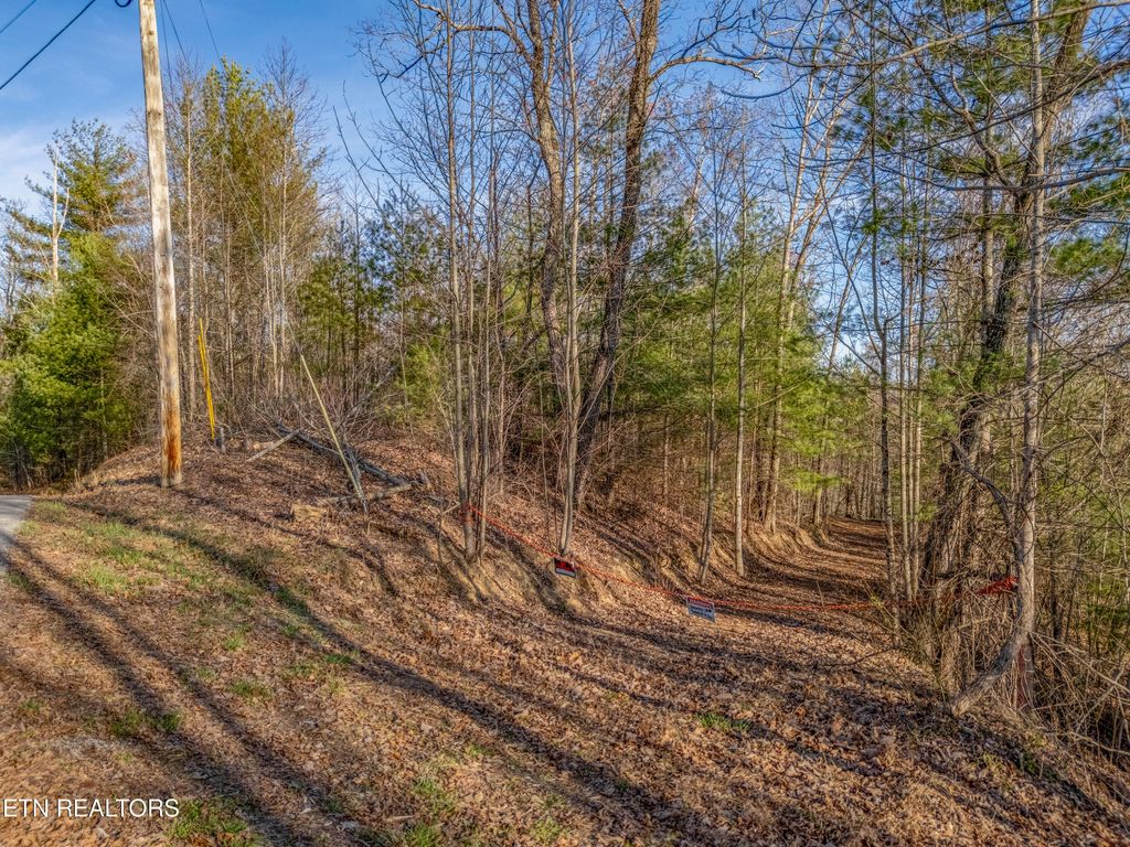 Photo of Balfour Drive, Harriman, TN 37748 (MLS # 1320318)