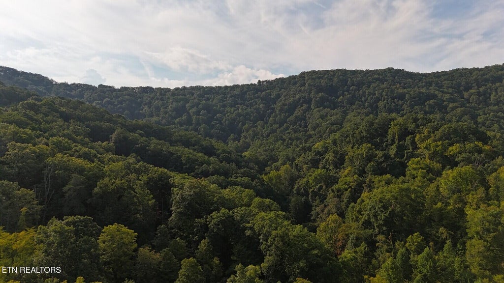 Photo of 0 Redbud Circle, Luttrell, TN 37779 (MLS # 1353541)