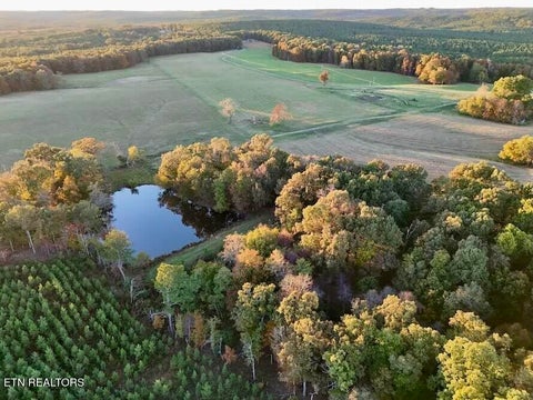 Tiny photo for Poke Patch Rd, Crossville, TN 38572 (MLS # 1359901)