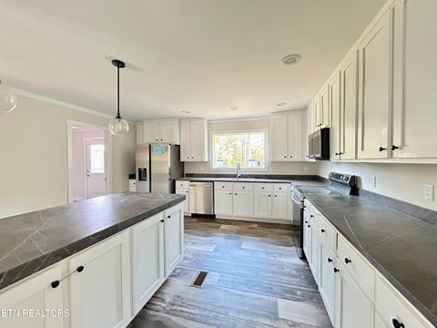 Tiny photo for 200 Sable Rd, Spring City, TN 37381 (MLS # 1337595)