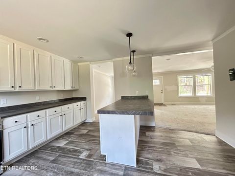 Tiny photo for 200 Sable Rd, Spring City, TN 37381 (MLS # 1337595)