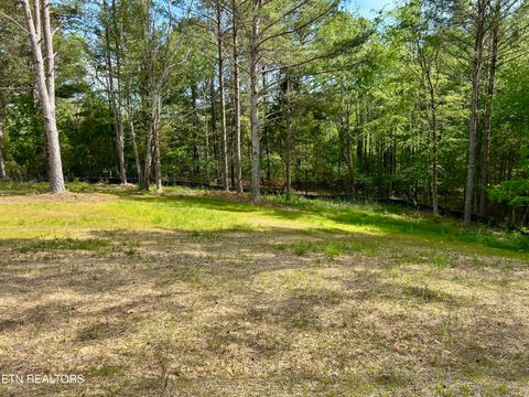 Tiny photo for 200 Sable Rd, Spring City, TN 37381 (MLS # 1337595)