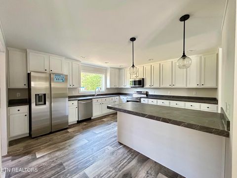 Tiny photo for 200 Sable Rd, Spring City, TN 37381 (MLS # 1337595)