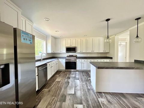 Tiny photo for 200 Sable Rd, Spring City, TN 37381 (MLS # 1337595)