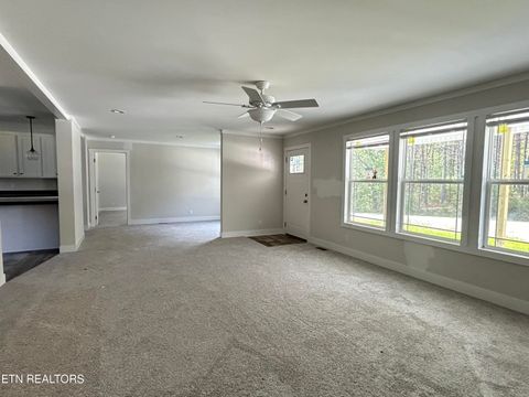 Tiny photo for 200 Sable Rd, Spring City, TN 37381 (MLS # 1337595)