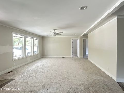 Tiny photo for 200 Sable Rd, Spring City, TN 37381 (MLS # 1337595)
