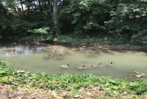 Tiny photo for 4143 Walker Blvd, Knoxville, TN 37917 (MLS # 1323542)