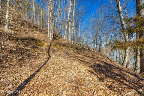 Tiny photo for 34 Mountain Shores Drive, New Tazewell, TN 37825 (MLS # 1329106)